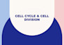design research backed medical ppts